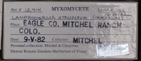 Image Associated With the Occurence